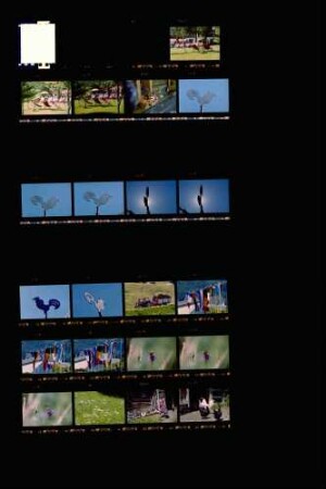 Landesschau-Bilder: Sommer