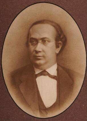 Bildnis von Henning Dohrn (1836-1895)