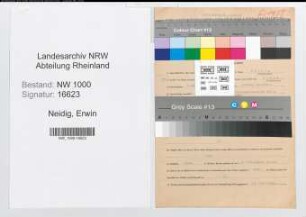Entnazifizierung Erwin Neidig, geb. 07.03.1914 (Kaufm.Angest.)