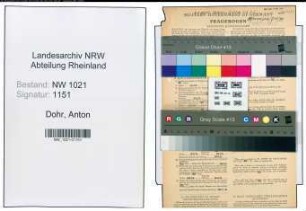 Entnazifizierung Anton Dohr , geb. 31.01.1889 (Obermeister)