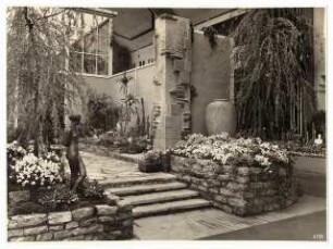 Ausstellungsgarten Deutsche Gartenbau-Ausstellung 1933, Berlin: Innenansicht Ausstellungshalle, Trockenmauer mit Blumen und Kakteen