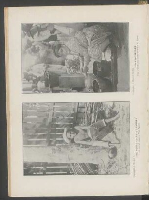 The young cocoanut vender [and] The fish seller - [Photographs] : A typical scene in West Indies. [and] One of the scenes in the streets of St. Pierre. Copyright, J. Murray Jordan [for both photographs]