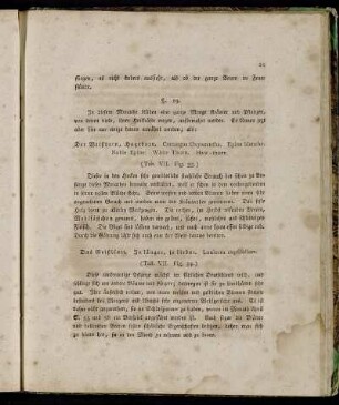 §. 19. In diesem Monathe blühen eine ganze Menge Kräuter und Pflanzen,[...]