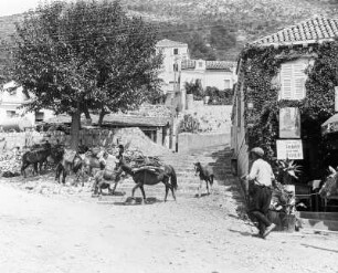 Dubrovnik, Esel und Pferde als Lasttiere