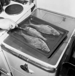 Zubereiten der geangelten Fische. Aufnahme in einer Küche