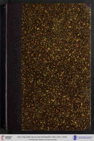 1928/29, 1. Abhandlung: Sitzungsberichte der Heidelberger Akademie der Wissenschaften, Philosophisch-Historische Klasse: Der Strabon-Palimpsest Vat. Gr. 2061A