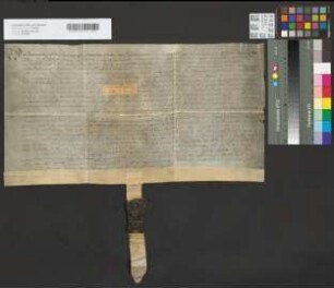Revers des Magistrats zu Zülpich wegen der von dem Koadjutor den Bürgern auf Widerruf verwilligten Zollfreiheit.