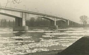 Treibeis 1954 in Worms/Rhein