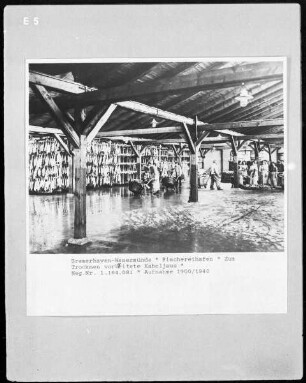 Fischereihafen