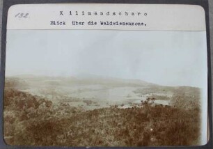 Kilimandscharo. Blick über die Waldwiesenzone