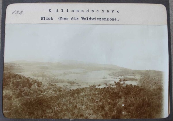 Kilimandscharo. Blick über die Waldwiesenzone