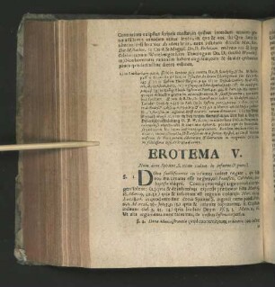 Erotema V.