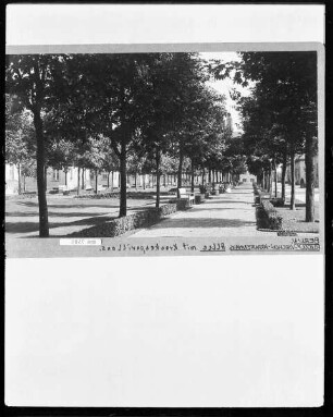 Rudolf-Virchow-Krankenhaus, Park