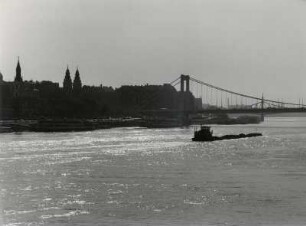 Die Donau mit der Elisabethbrücke