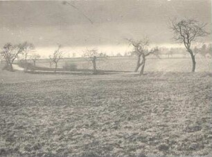 Flurbild bei Pannewitz : Landschaft - Oberlausitz. Ort: Banecy / Pannewitz. Flurbild