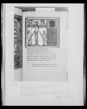 Ms. 363 (Evangeliar aus Averbode) — Ms. 363 (Evangeliar aus Averbode), Folio 87rectoBuchseite