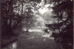 Krebsteich / Aus der Sammlung Pecher. Detmold. Hiddeser. Papierabzug