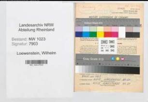 Entnazifizierung Wilhelm Loewenstein , geb. 18.02.1904 (Malermeister)