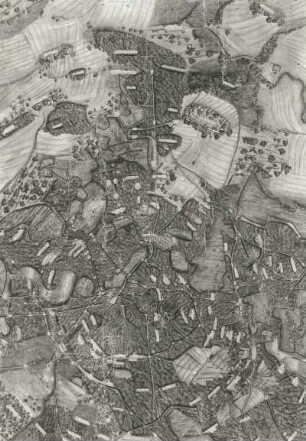 Moritzburg und der Friedewald mit seiner Umgebung ("Abriss des Gehölzes um Moritzburg ...") : Moritzburg und der Friedewald mit seiner Umgebung ("Abriss des Gehölzes um Moritzburg ..."). Wasserfarbengemälde; 116 x 136 cm (um 1560/1570). Ausschnitt: Steinbach, Bärwalde und die Wälder von Moritzburg. Dresden: Hauptstaatsarchiv Dresden VI 82,9 in XX