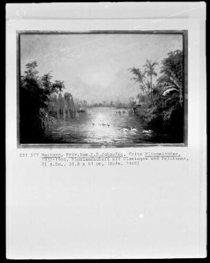 Flusslandschaft mit Flamingos und Pelikanen