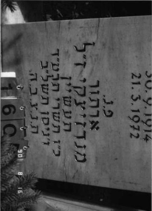 Grabstein 160 (Index: 99618473) Maße HxBxT: 226x158x39 cm Besonderheit: kulturhistorisch wertvoll / künstl.-formale Gründe (Steingestaltung); - Doppelgrab?: Grabstein 160B