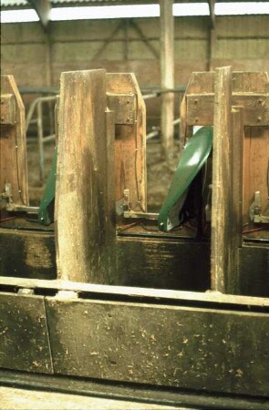 Fotografie: Tierverhalten, Futteraufnahme, Elektronik, Gruppenhaltung, Feldtest