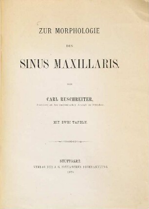 Zur Morphologie des Sinus maxillaris : Mit 2 Tafeln