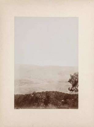 Bewaldeter Berghang : Bergwald an einem Hang im Zagros-Gebirge.