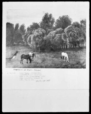 Am Waldesrand (Wiese mit drei Pferden)
