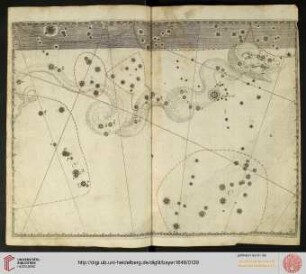 Tafel 44: Hydra (Wasserschlange)