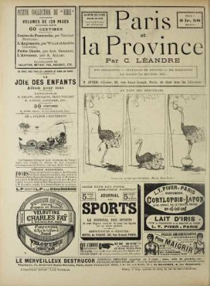 Au pays des merveilles