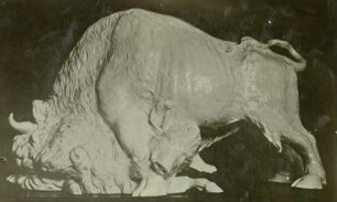 Porzellanfigur Meißen : Auerochse mit Wildschwein von Kaendler 1732