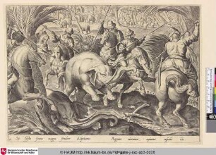 [Elefantenjagd; Elephant hunt]