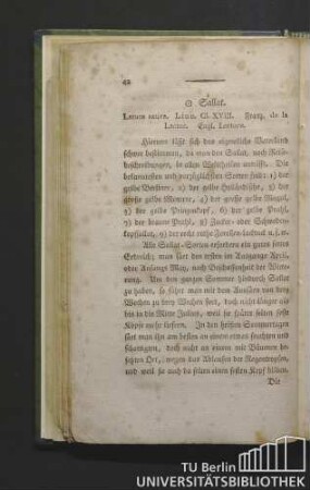 Sallat [!] Latuca sativa. Linn. Cl. XVIII. Franz. de la latuc. Engl. lettuce.