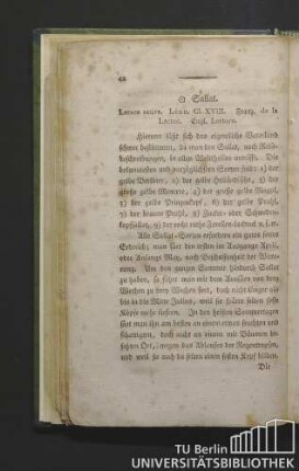 Sallat [!] Latuca sativa. Linn. Cl. XVIII. Franz. de la latuc. Engl. lettuce.