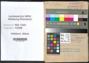 Entnazifizierung Maria Hebborn , geb. 17.06.1920 (Steuerhelferin)