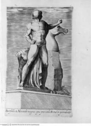 Antiquarum statuarum urbis Romae, quae in publicis privatisque locis visuntur, icones. Romae. Ex typis Laurentii Vaccarii... MDLXXXIIII., Tafel [8]: Bucephalus & Alexander magnus opus praxitelis Romae in quirinali monte