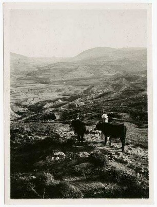 Zionstal [?] südl. Libanon