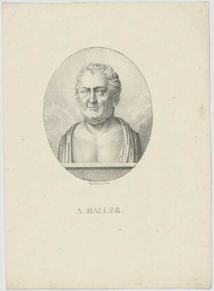 Bildnis des A. Haller