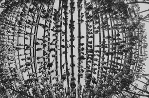 Archivfotografie "ausland_island_5661"