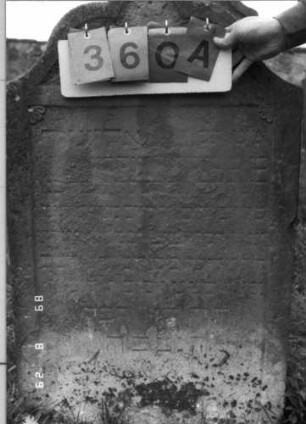 Grabstein 360 (Index: 100107814) Material: gelber Sandstein Zustand: stark verwittert, weitgehender Textverlust Maße HxBxT: 114x66x11 cm Beschreibung: Stele in Sonderform (geschwungen eingezogener Kleeblattbogen), Schriftfeld rechteckig eingetieft Symbolik: Rosette Besonderheit: keine Zuordnung nach Sterberegister möglich: Grabstein 360A