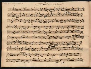 Violino secundo