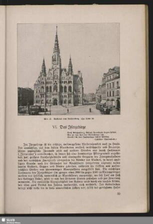 VI. Das Isergebirge