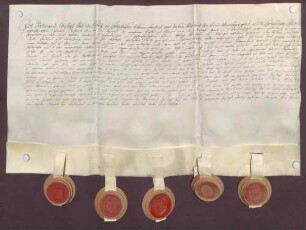 Instrumentum probationis des Ferdinand Christoph Karl Schütz von Holzhausen.