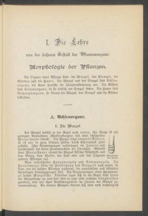 I. - Die Lehre von der äußeren Gestalt der Pflanzenorgane : Morphologie der Pflanzen.