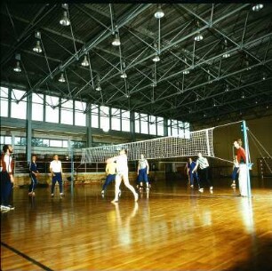 Sport, Volleyball-Mannschaft