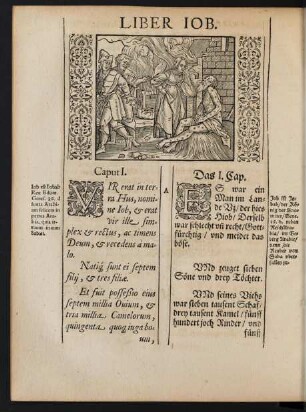 Liber Iob.