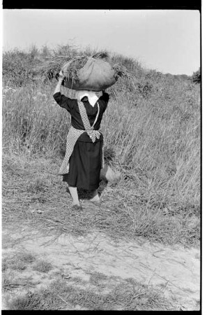 Transport des Grases
