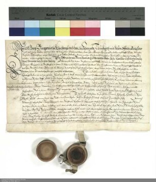 Revers Georgs Burggraf von Kirchberg zu Farnroda bezüglich der Belehnung mit dem Hof Burbach durch Johann Bernhard [Schenck zu Schweinsberg], Abt von Fulda