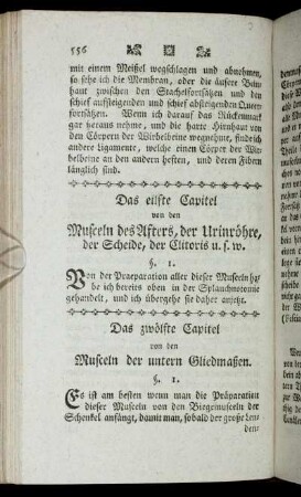 Das zwölfte Capitel von den Musceln der untern Gliedmaßen.